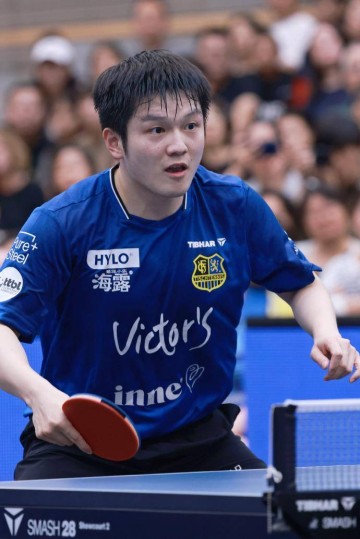 樊振东立功！德甲升至第三，距榜首仅差2分